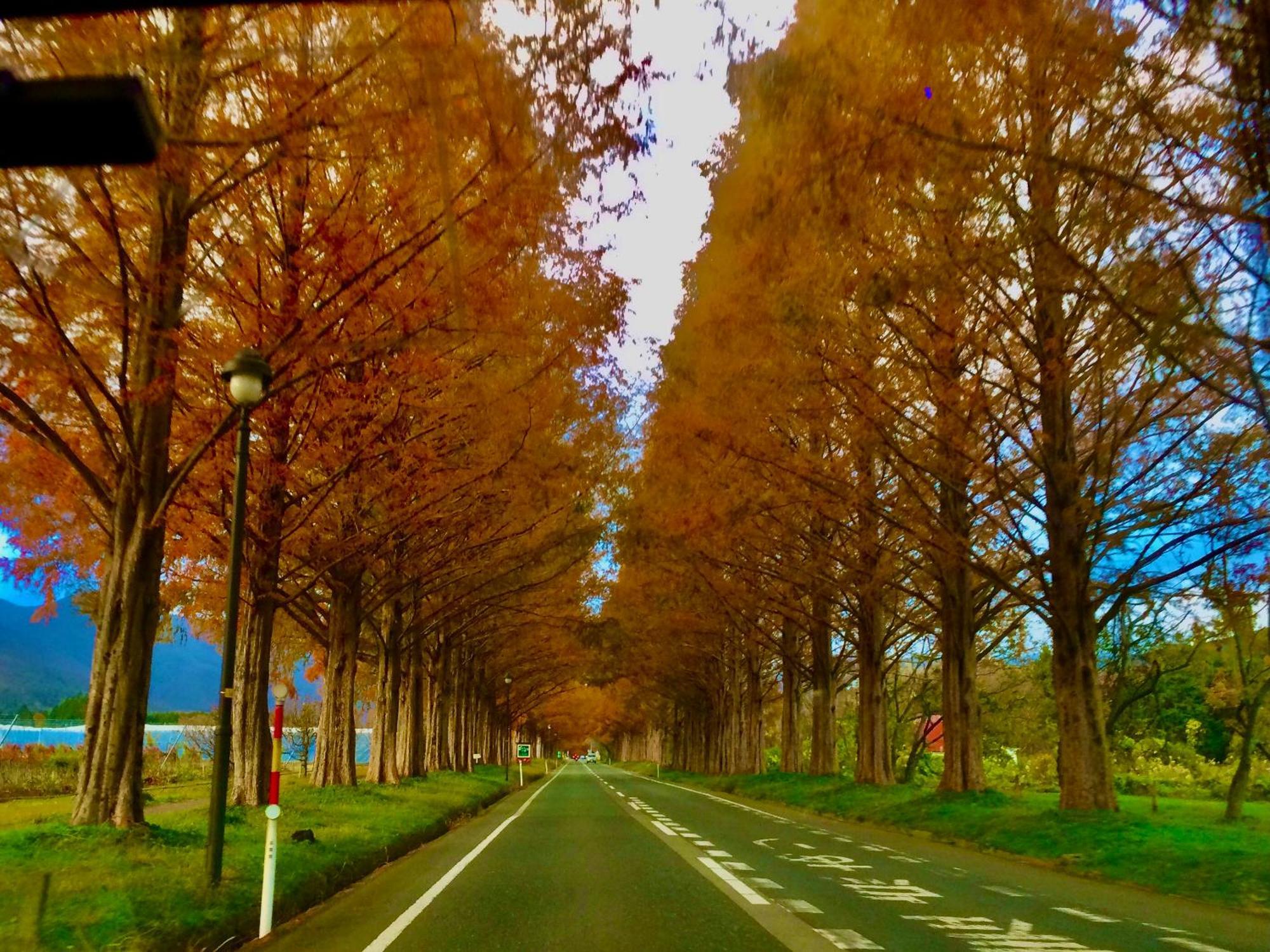 Koke Musu Inn Otsu Bagian luar foto